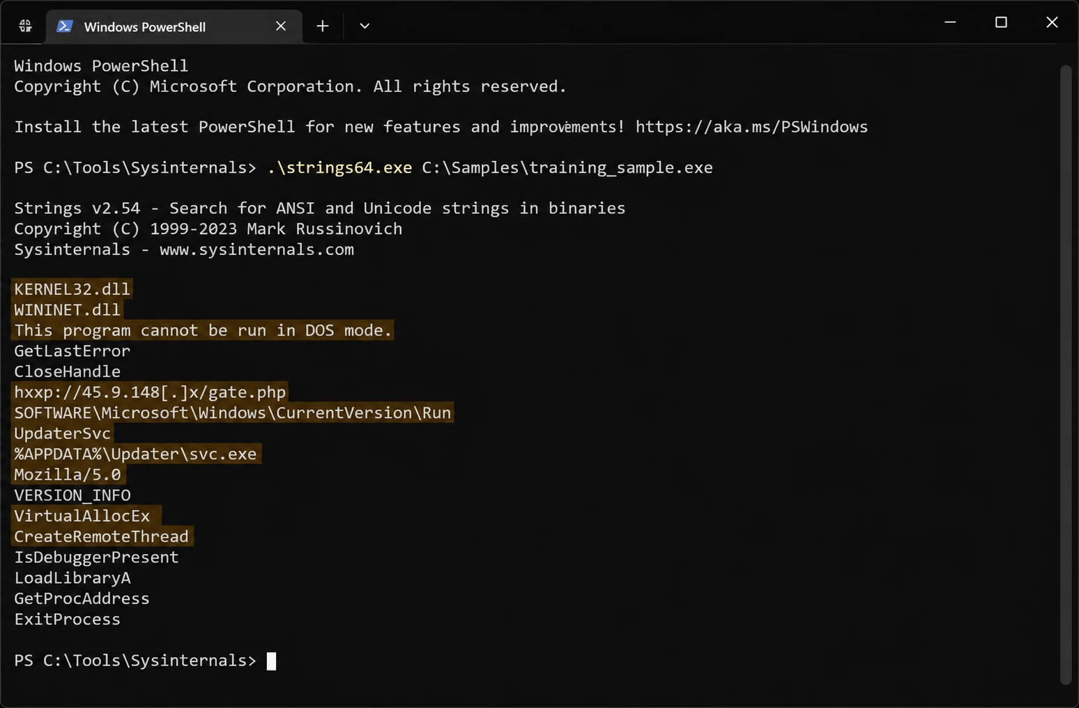 Strings command output with highlighted suspicious URLs and registry paths