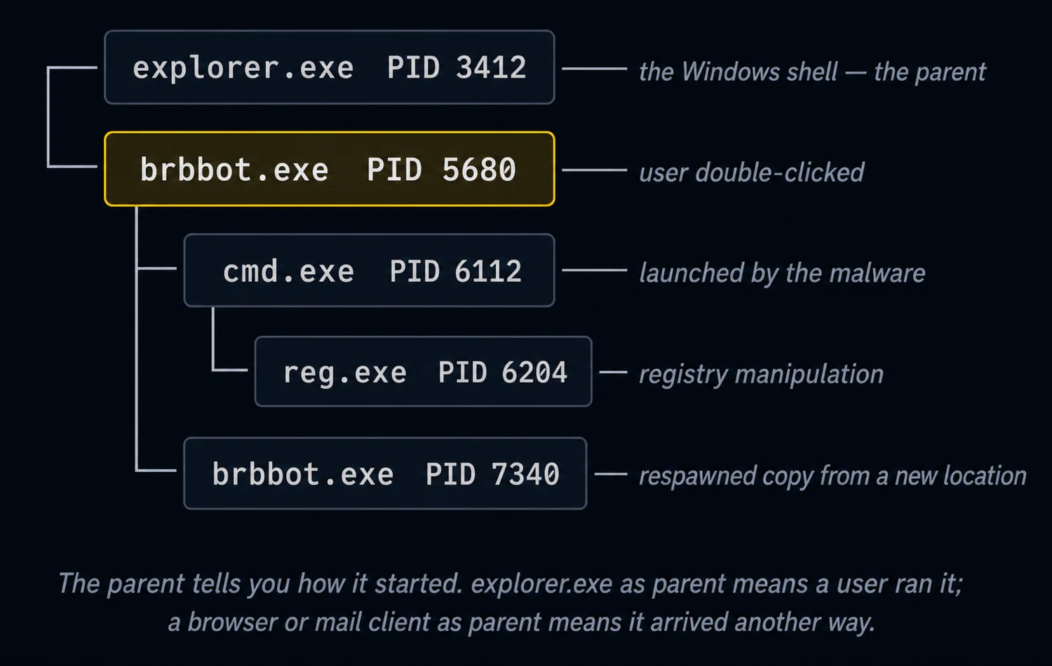 Process tree of a malware execution: the sample spawns cmd.exe and reg.exe, and respawns a copy of itself